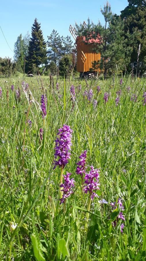Sihi Country House Hiievalja Exterior foto